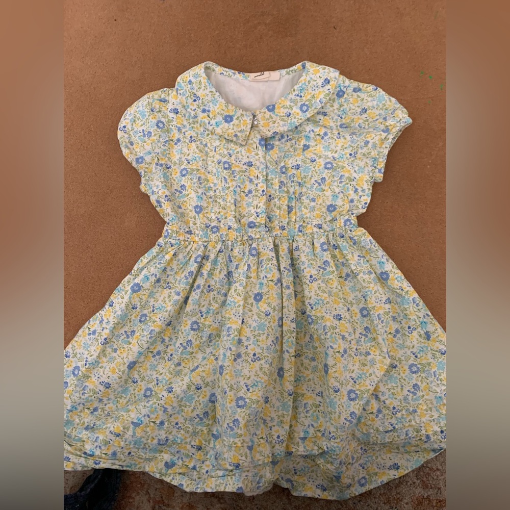 Beet World Peter Pan collar liberty flower dress 9-10